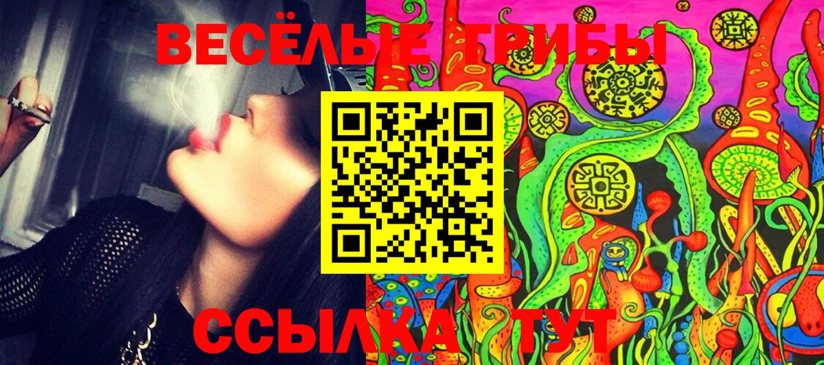 Галлюциногенные грибы Psilocybe  Вход с VPN  Тулун  Галлюциногенные грибы мухоморы 
